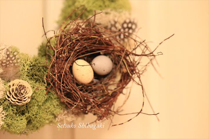 苔をベースにして、イースターリースを作ってみた！Easter wreath